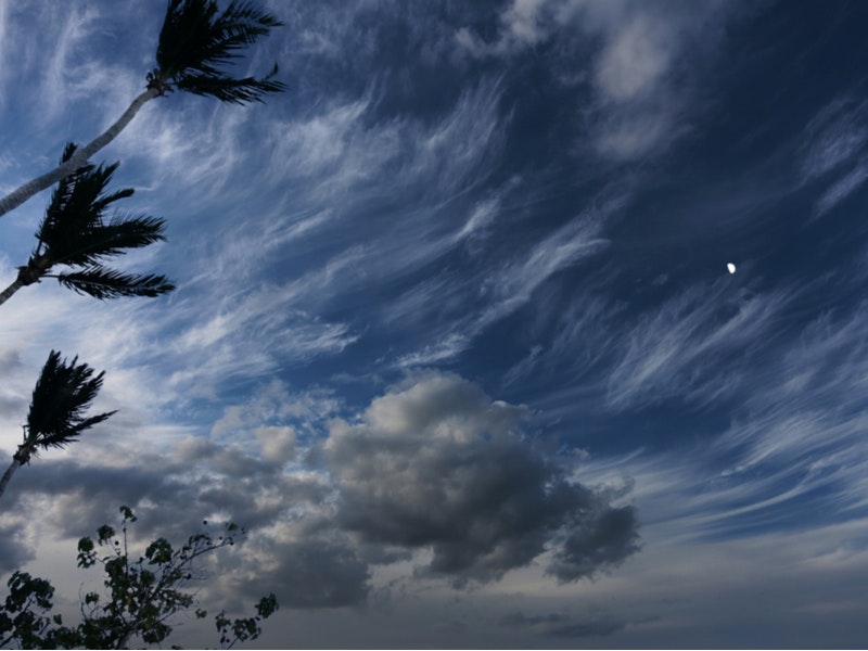 By Elijah Lovkoff/Shutterstock.com