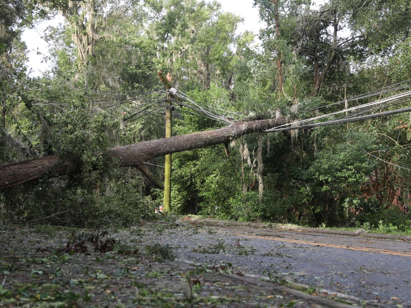 Tallahassee carousel