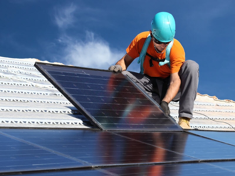 By Federico Rostagno/Shutterstock.com