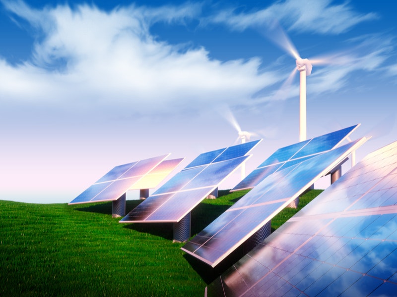 Provided by petrmalinak/Shutterstock.com