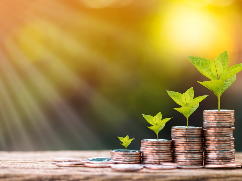 By Watchara Ritjan/Shutterstock.com