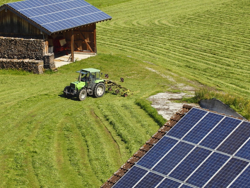 By rtbilder/Shutterstock