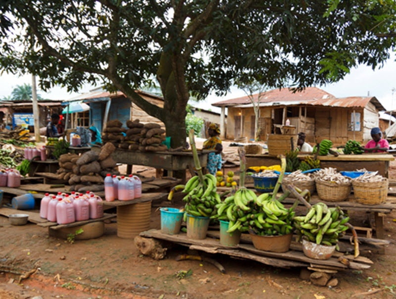 Ondo, Nigeria. Credit Jordi C/Shutterstock.com