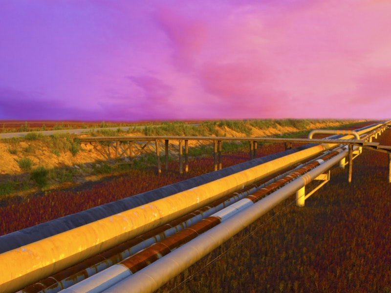 By huyangshu/Shutterstock.com