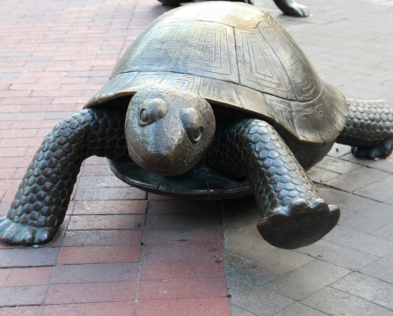 Trinity Church Boston &ndash; Turtle and Hare. Credit: Bill Damon