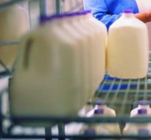 1663215726767 Mlk2300x279