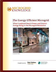 1663216017676 Microgridchprpt250e1470145789827