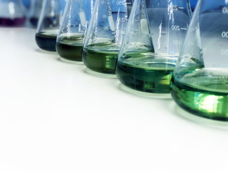 Arpon Pongkasetkam/Shutterstock.com