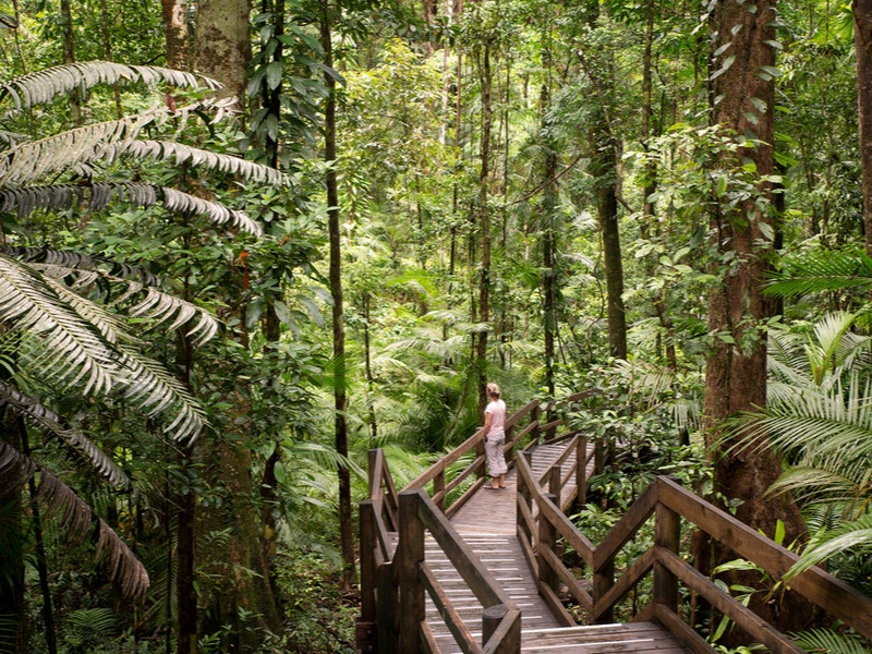 AustralianCamera/Shutterstock.com