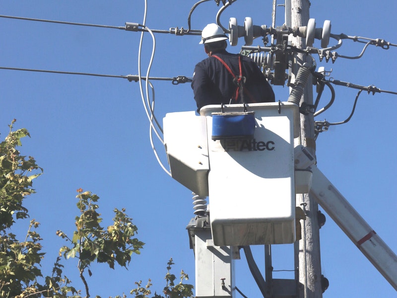 Emily C. McCormick/Shutterstock.com