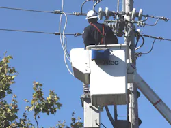 Emily C. McCormick/Shutterstock.com Emily C. McCormick/Shutterstock.com