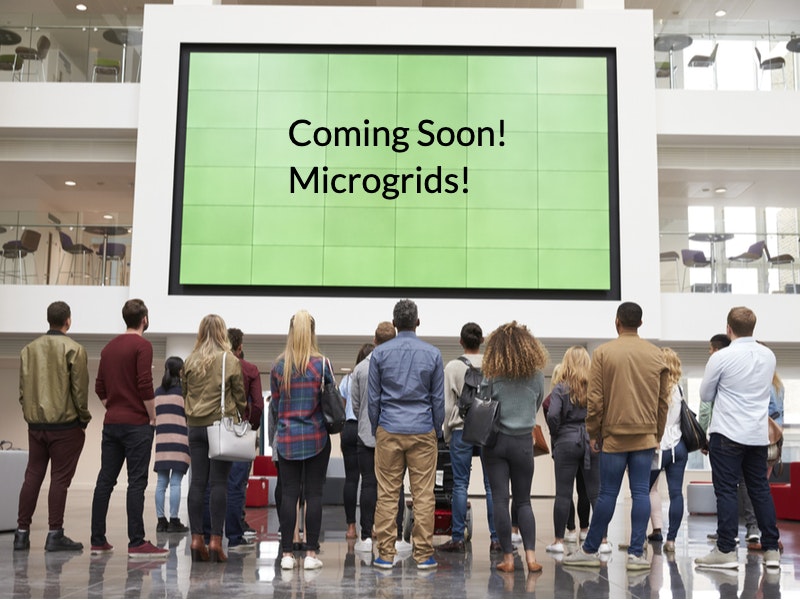 Monkey Business Images/Shutterstock.com