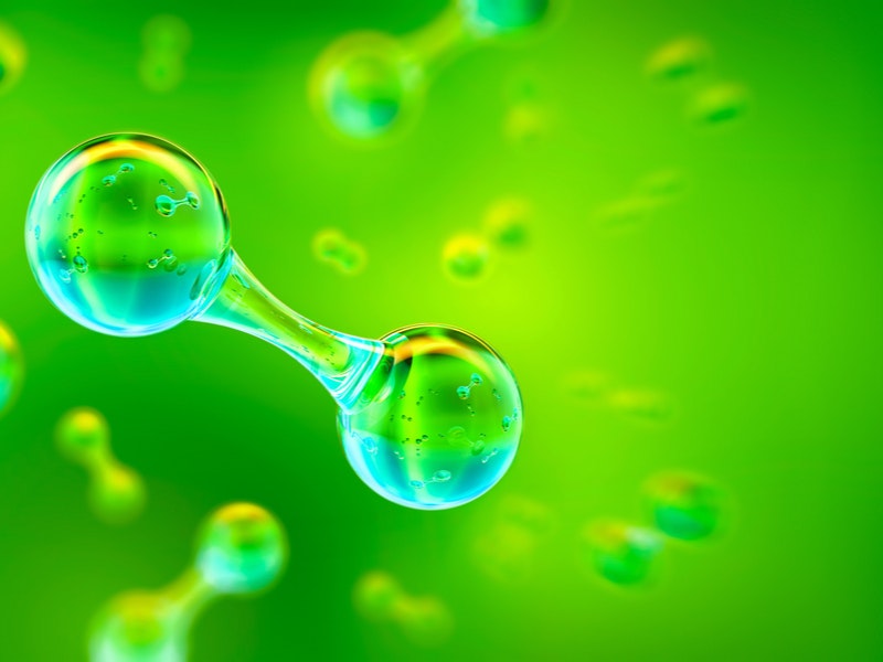 Corona Borealis Studio/Shutterstock.com