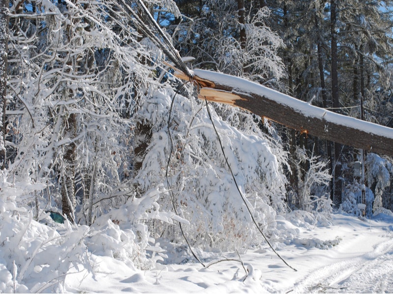 By DejaVuDesigns/Shutterstock.com