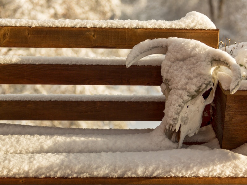 By J nel/Shutterstock.com