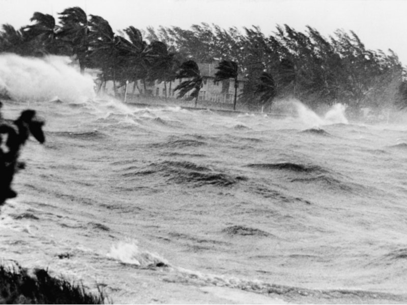 By Everett Collection/Shutterstock.com