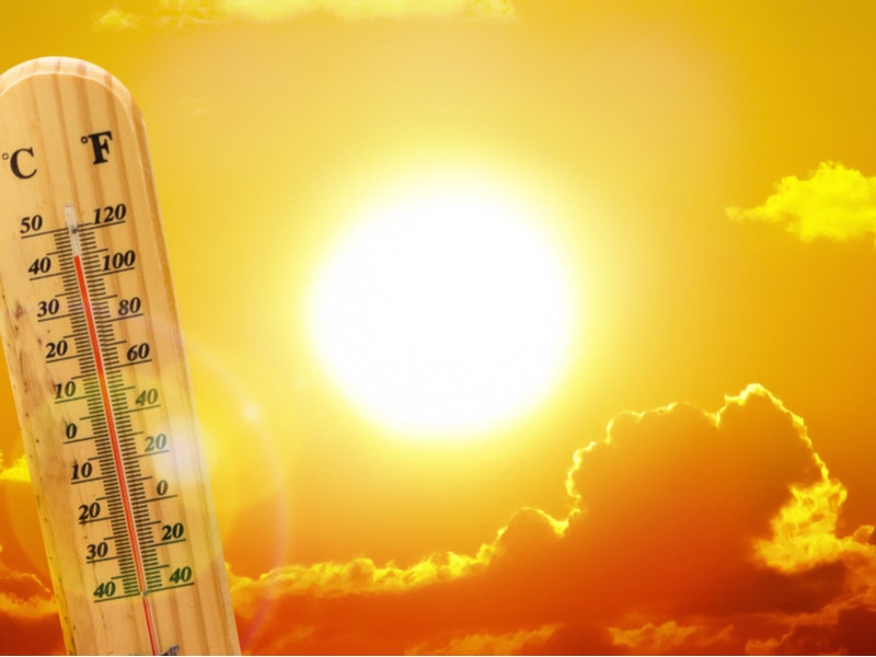 By Ed Connor/Shutterstock.com