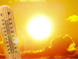 By Ed Connor/Shutterstock.com By Ed Connor/Shutterstock.com