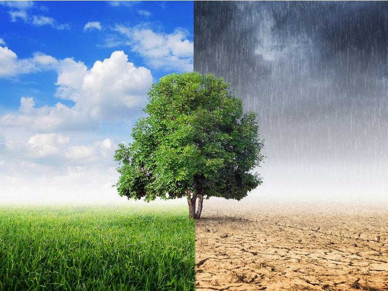 By 24Novembers/Shutterstock.com