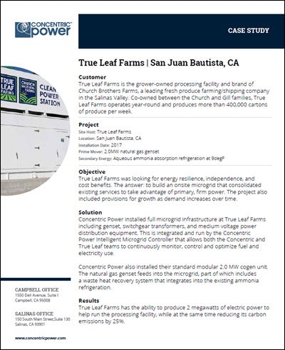 Concentric_Trueleaf_cover