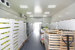 Baloncici/Shutterstock.com Baloncici/Shutterstock.com