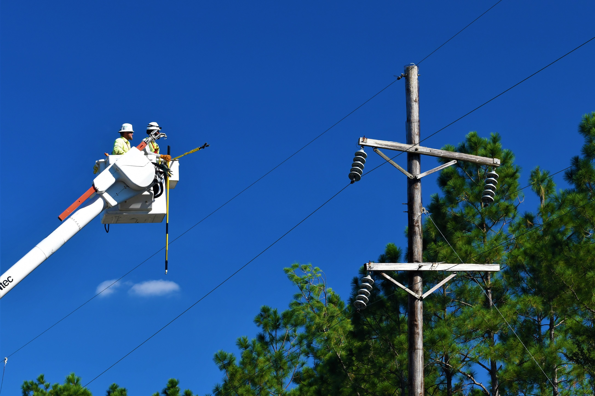 Source: Robert Blouin/Shutterstock.com