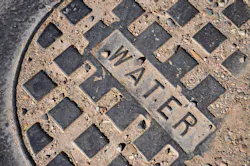 Source: StacieStauffSmith Photos / Shutterstock Source: StacieStauffSmith Photos / Shutterstock