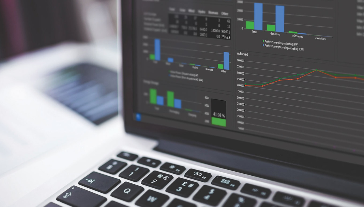 DERMS system viewed from computer