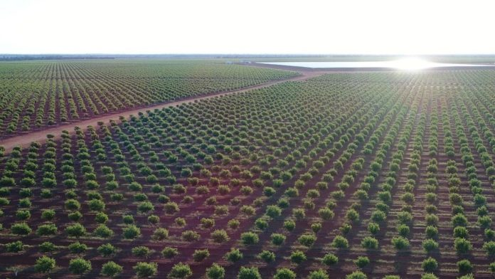 Australia Microgrid Agl 64cbe7960bb9d