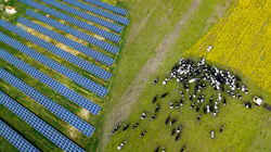 Source: DROPERDER / Shutterstock.com Source: DROPERDER / Shutterstock.com