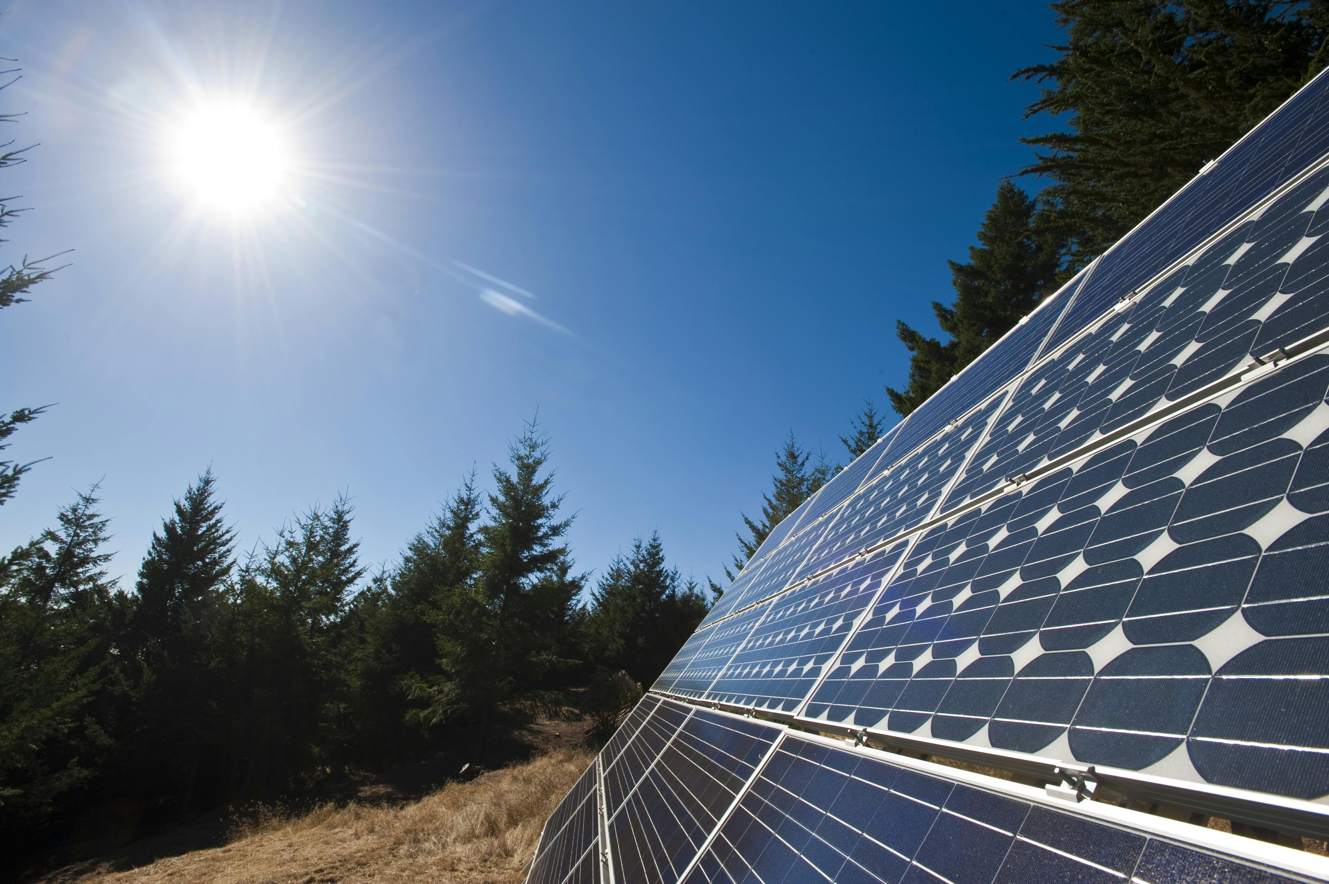 Source: sydcinema/Shutterstock.com