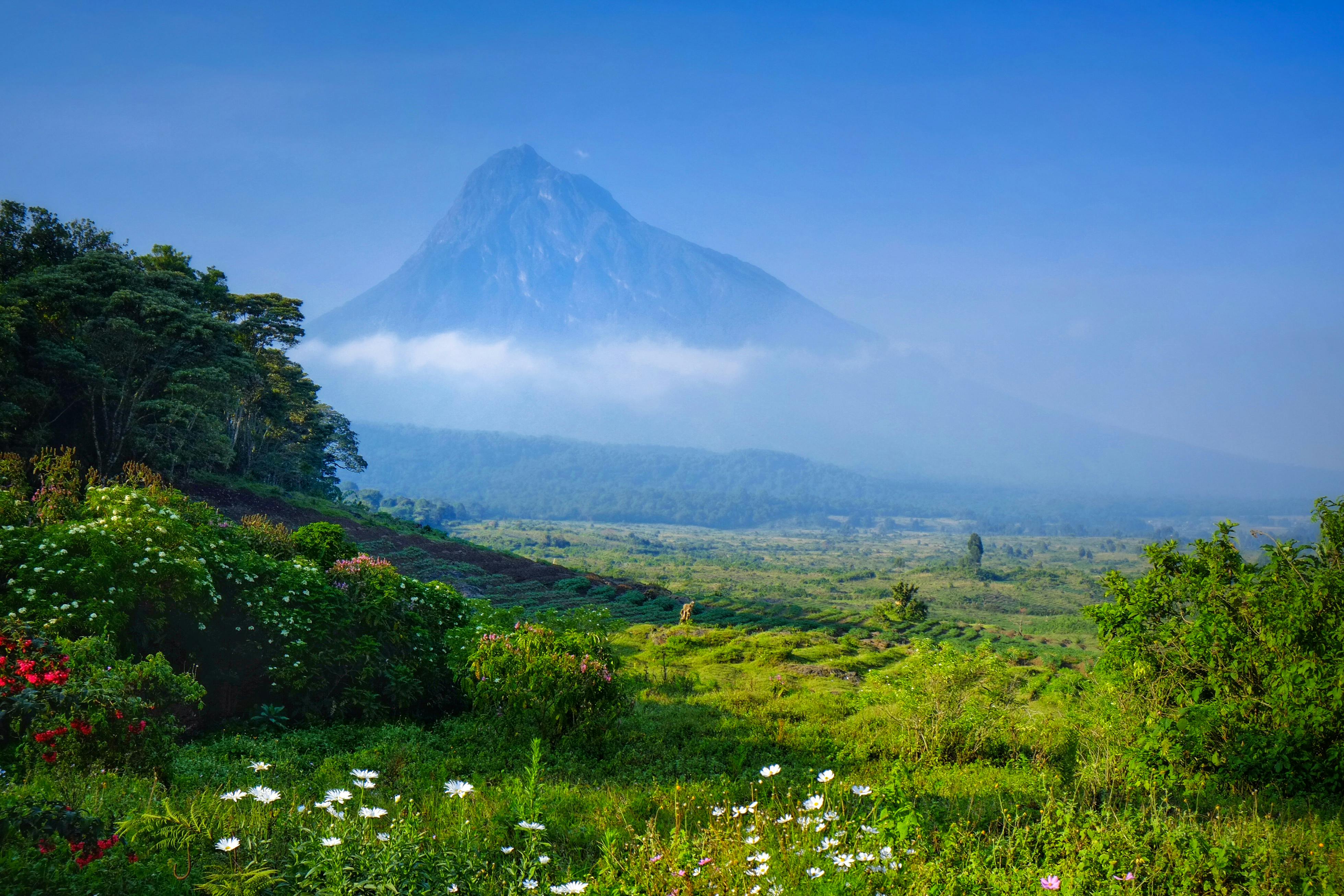 View of a volcano in the Virunga National Park in the eastern part of the Democratic Republic of Congo, Africa. (Source: Marian Galovic/Shutterstock.com)