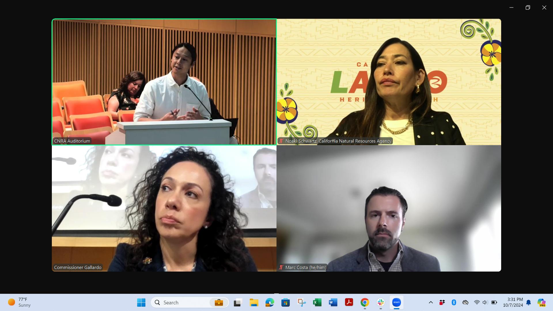 Roger Lin (top left), senior attorney for the Center for Biological Diversity, addresses California Energy Commission on Oct. 7. (Source: Lisa Cohn)