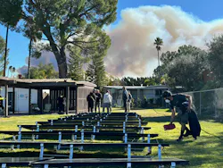 6797adf5d1d91603e0544377 Lisa Sent Foto 1 6797adf5d1d91603e0544377 Lisa Sent Foto 1