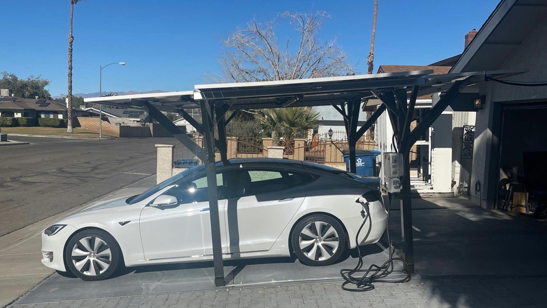 67cedc54e84947b2007be094 Gizmo Photo Chris Boeres