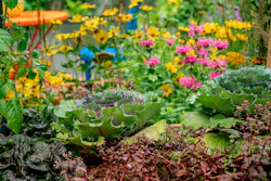 Source: Shebeko/Shutterstock.com Source: Shebeko/Shutterstock.com