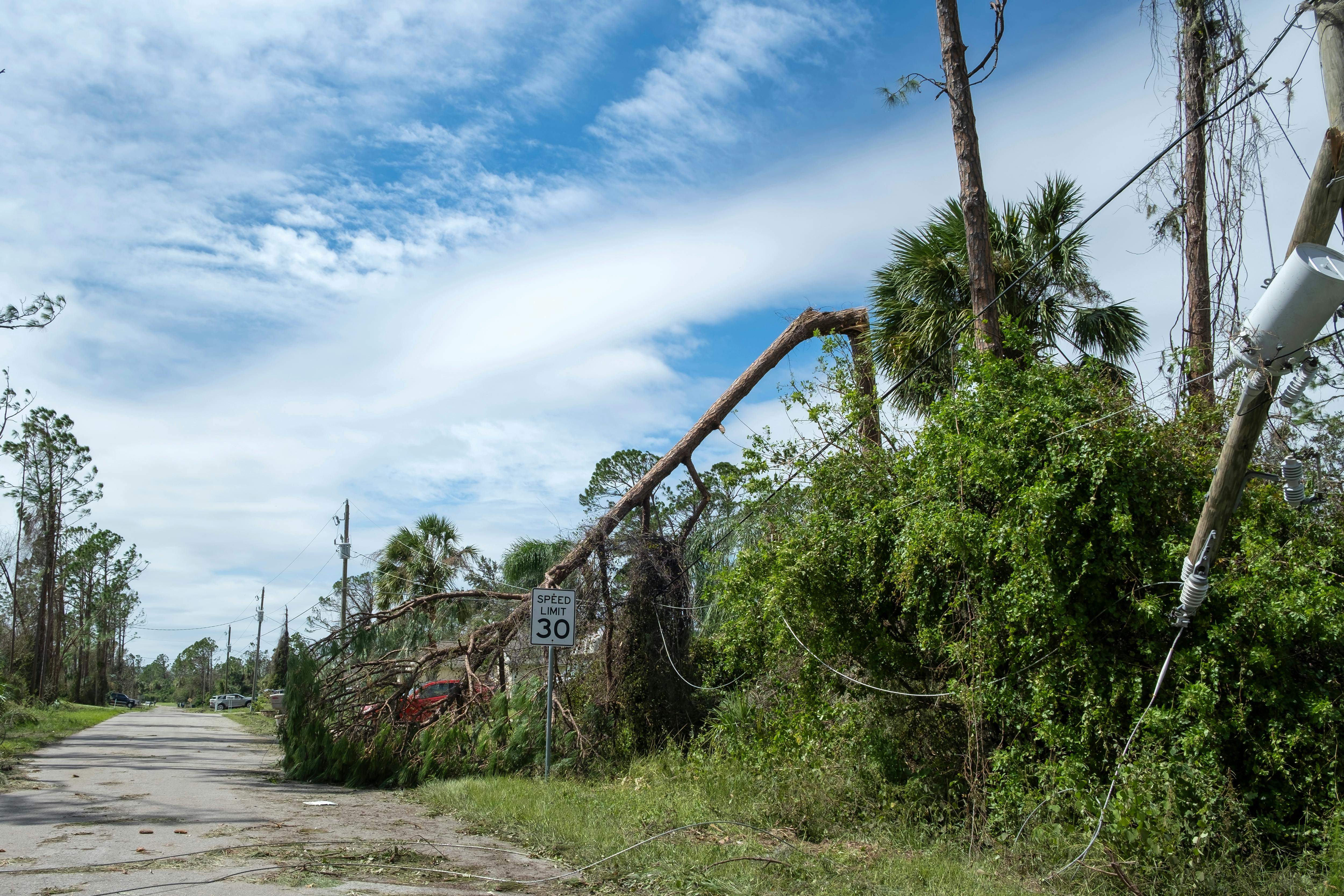 69307e900887cc004f3a9891 Florida Hurricane Shutterstock