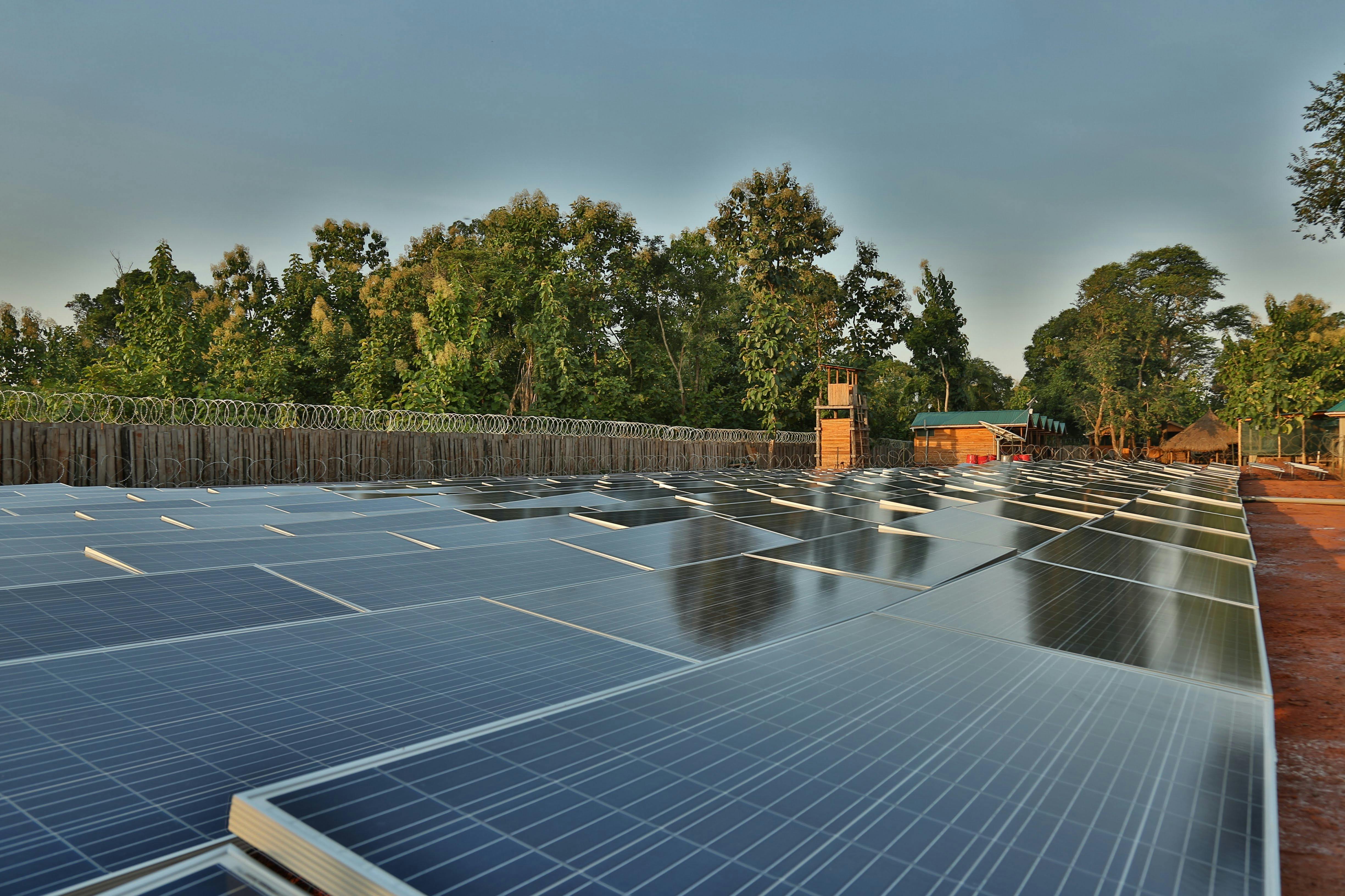 Source: Sebastian Noethlichs/Shutterstock.com