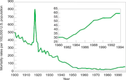 Mlo0803labman1 Mlo0803labman1