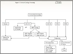 Special Figure1 Special Figure1