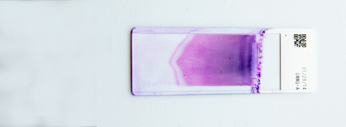 Mlo201510 Slide3 Lab Management