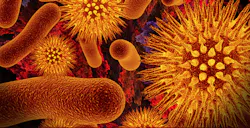 Mlo Generic Infectious Deseases Mlo Generic Infectious Deseases