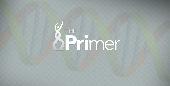 Mlo Generic The Primer