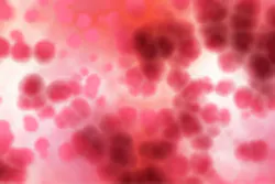 Mag Article Blood2 Mag Article Blood2