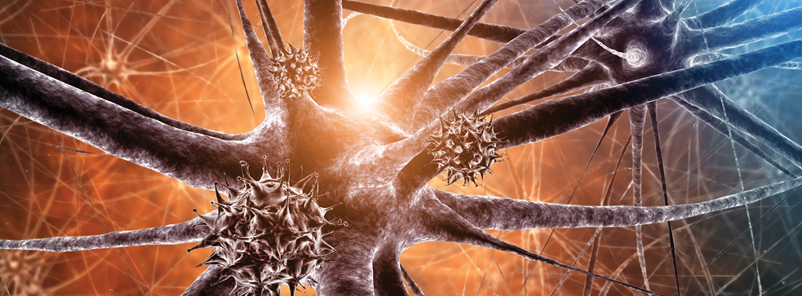 Slider1 Image Continuing Ed 0716