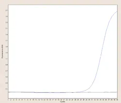 Mlo201703 Primer Fig Mlo201703 Primer Fig