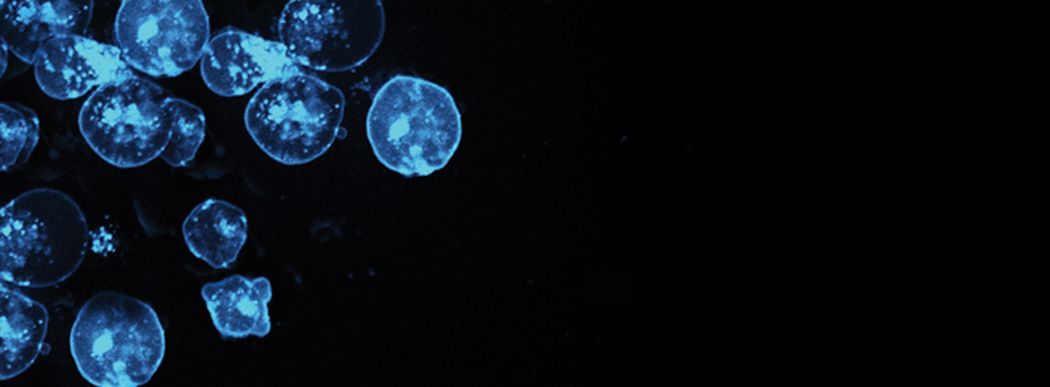 Slider1 Image Continuinged 0717