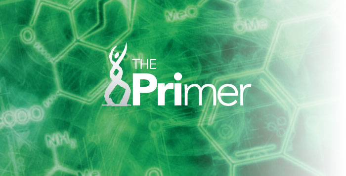 Mlo Generic The Primer New