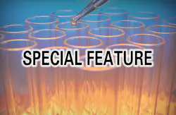 Mlo Special Feature Mlo Special Feature