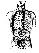 0502autopsy1 0502autopsy1